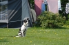 hondje van Agnes en Hubert