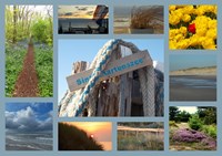 fotocollage van Tina. Camping golfzang,  familiecamping aan zee en dichtbij het strand en de duinen. Honden zijn toegestaan en het terrein is autovrij. www.campinggolfzang.nl